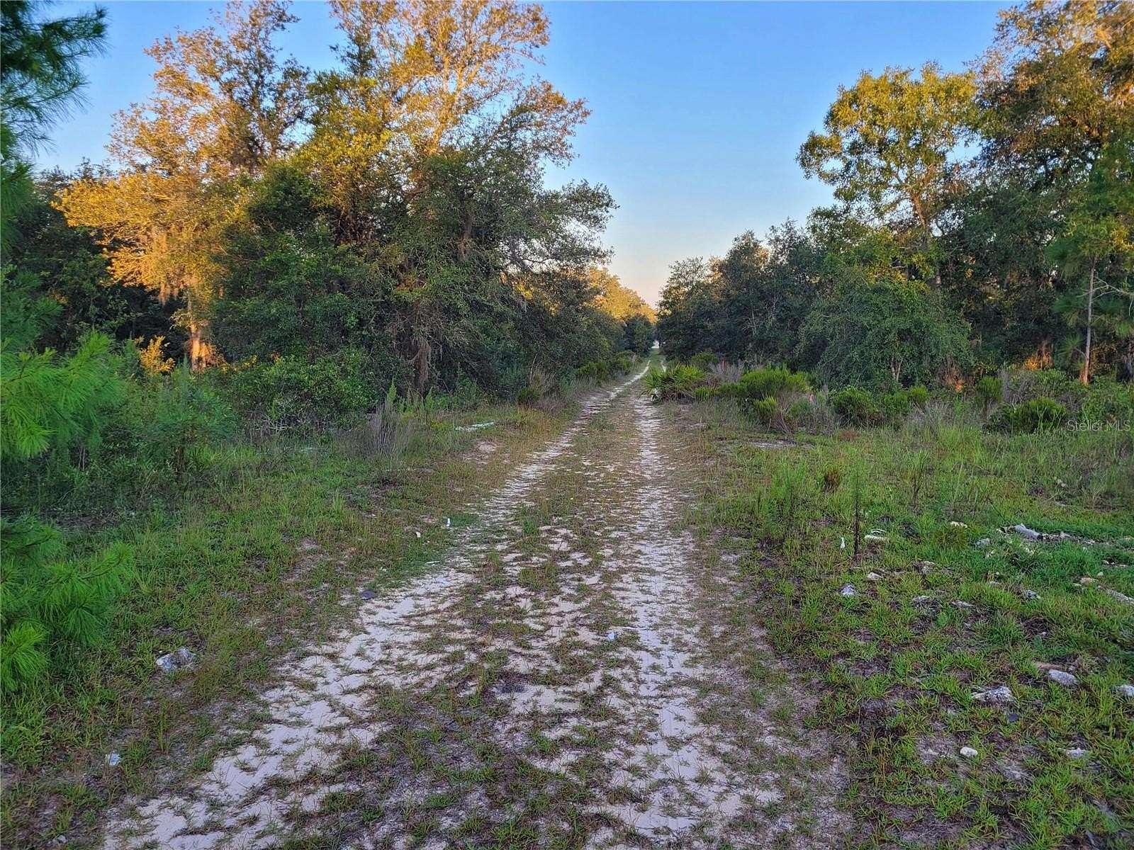 0.23 Acres of Residential Land for Sale in Williston, Florida