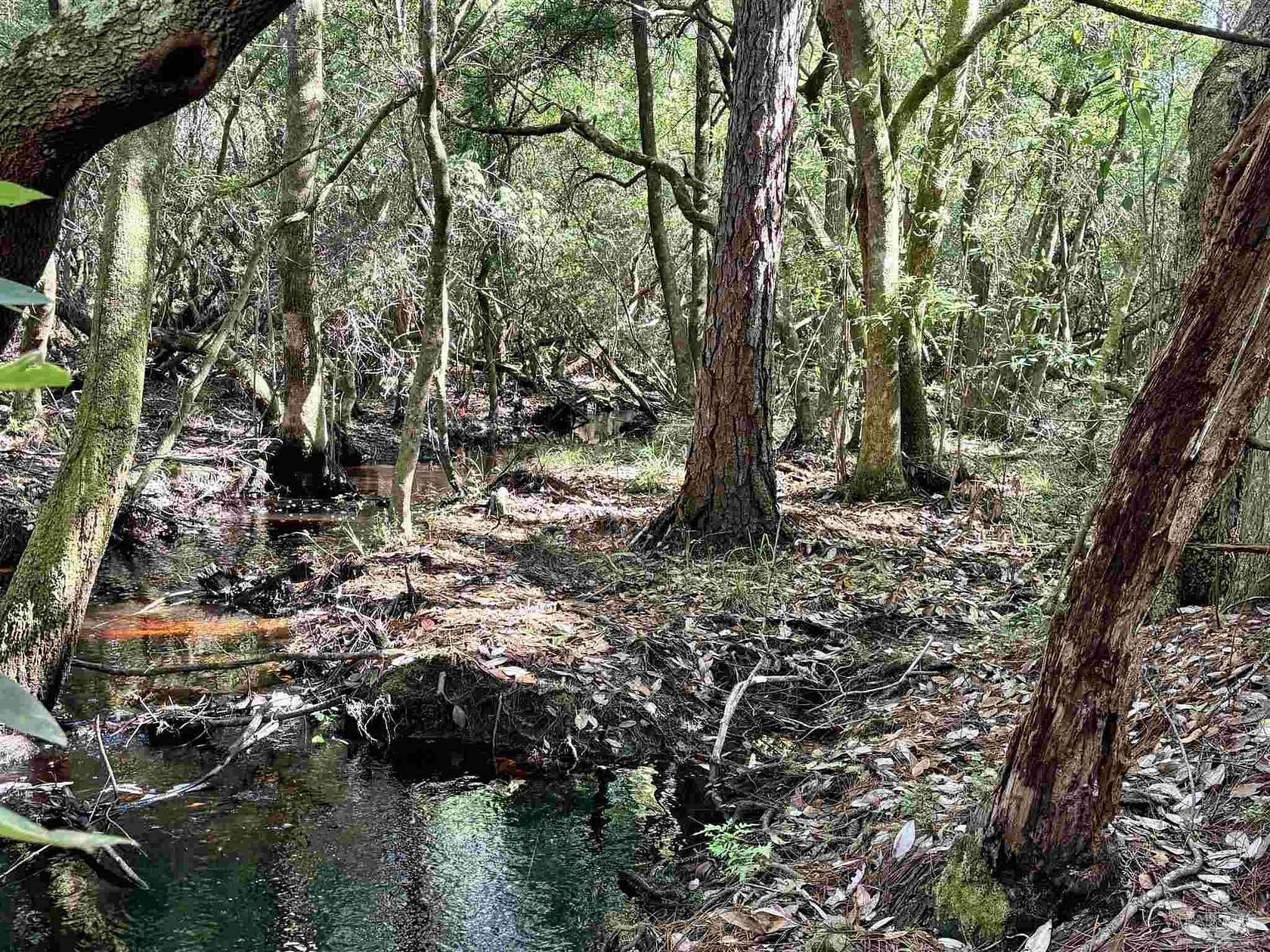 0.32 Acres of Residential Land for Sale in Milton, Florida