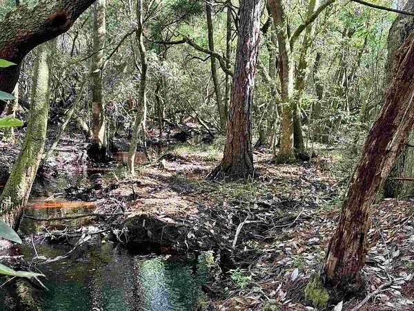 0.32 Acres of Residential Land for Sale in Milton, Florida