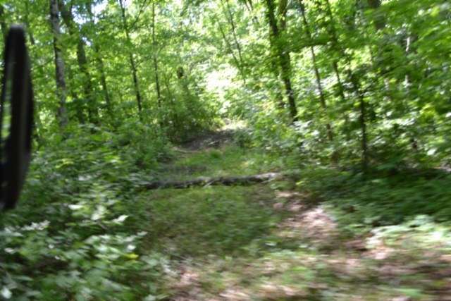 7.5 Acres of Land for Sale in Burkesville, Kentucky