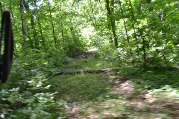 7.5 Acres of Land for Sale in Burkesville, Kentucky