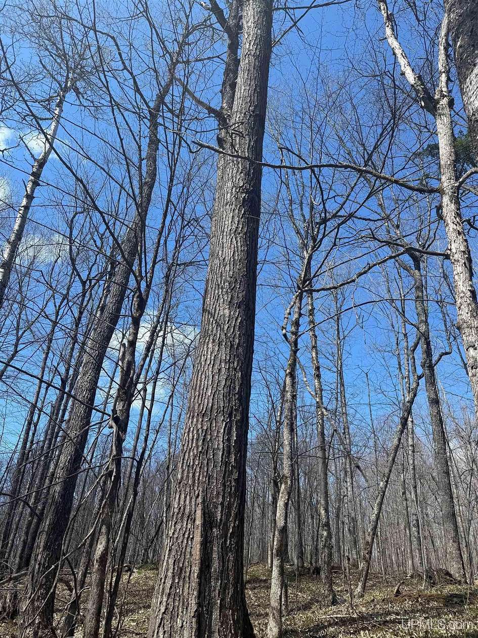39 Acres of Recreational Land for Sale in Rockland, Michigan