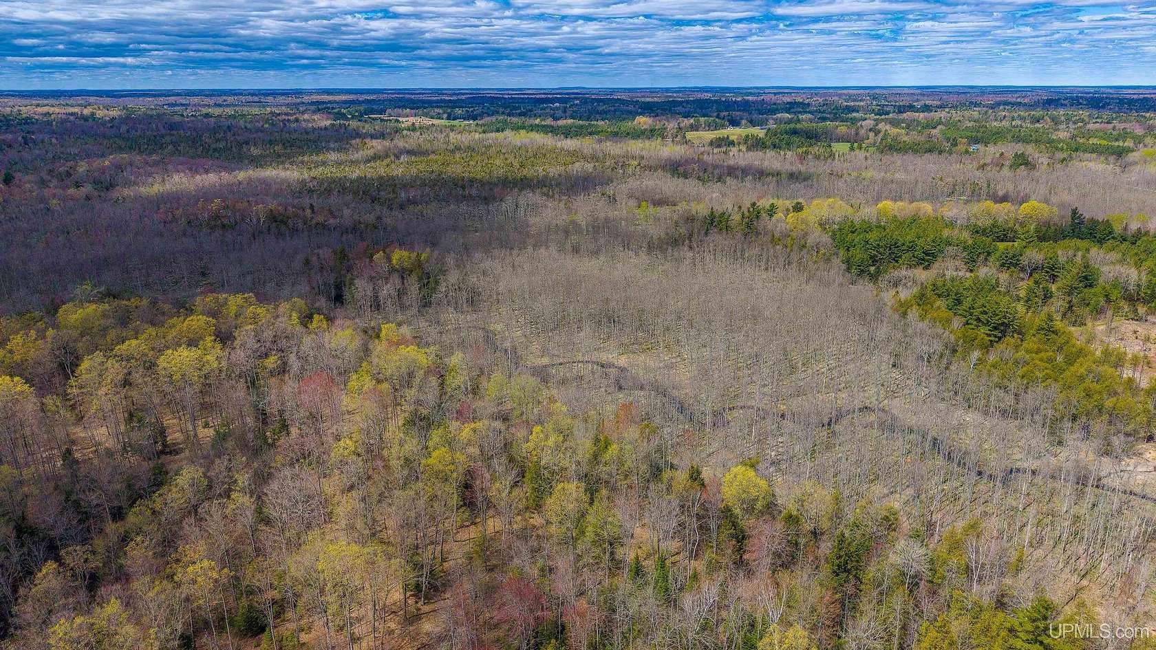 40 Acres of Recreational & Residential Land for Sale in Wallace, Michigan