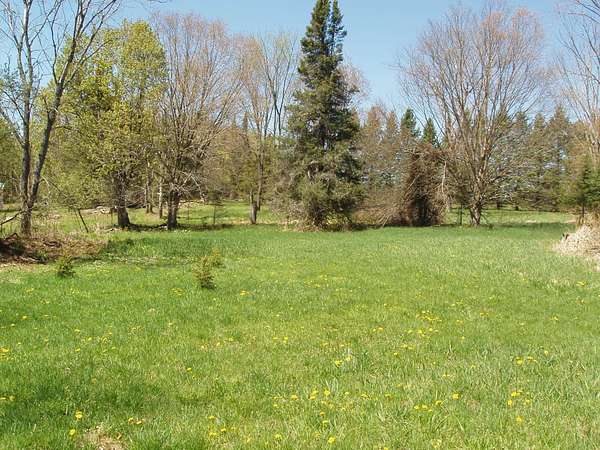 120 Acres of Land for Sale in Glidden, Wisconsin