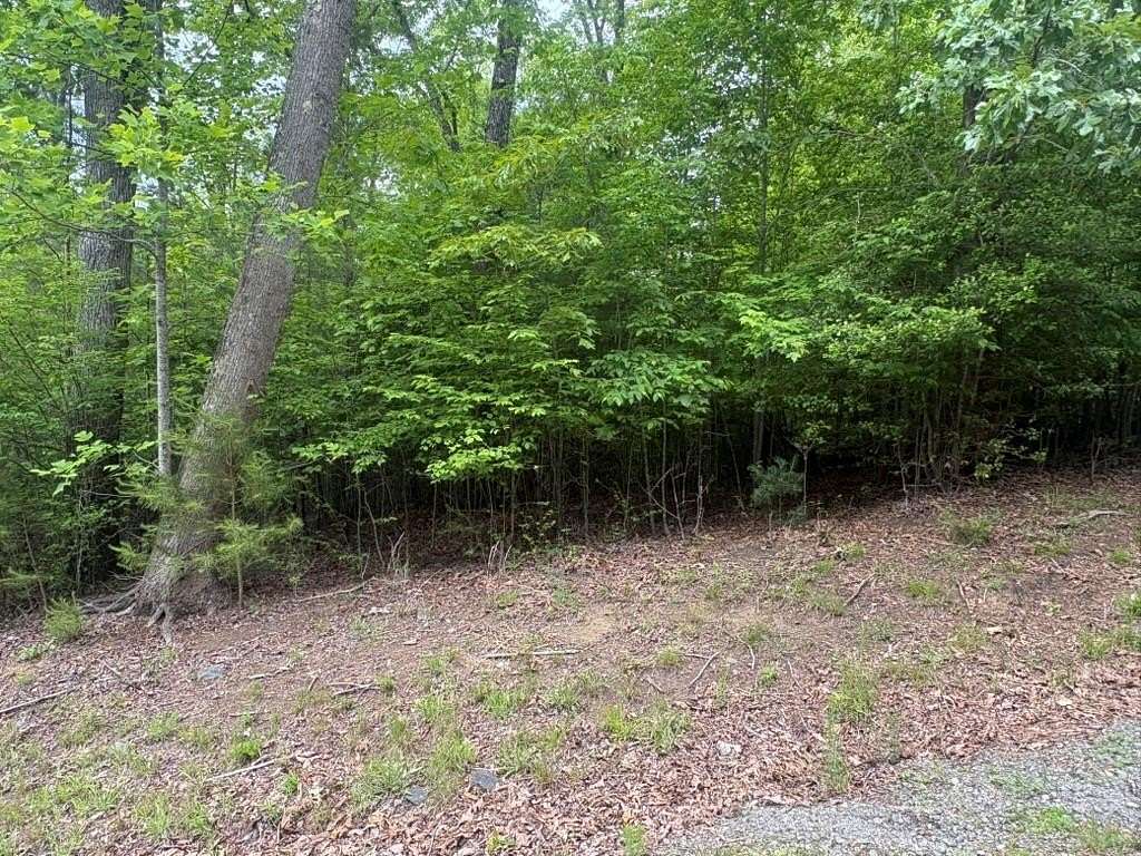 1.1 Acres of Land for Sale in Hayesville, North Carolina