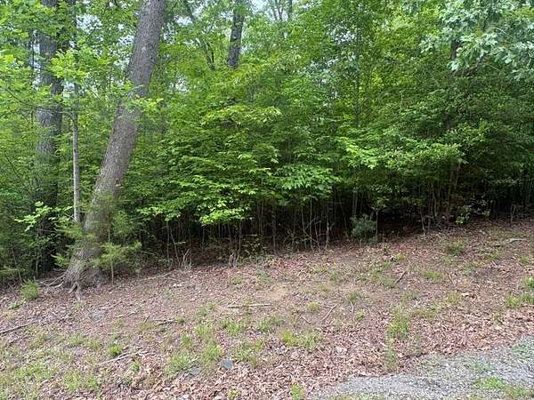 1.1 Acres of Land for Sale in Hayesville, North Carolina