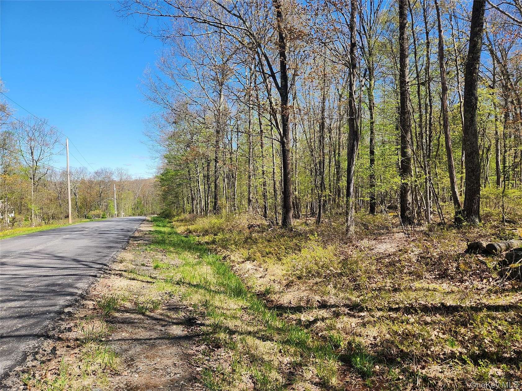 6.1 Acres of Residential Land for Sale in Cochecton, New York