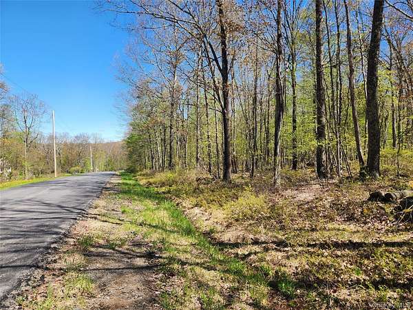 6.1 Acres of Residential Land for Sale in Cochecton, New York