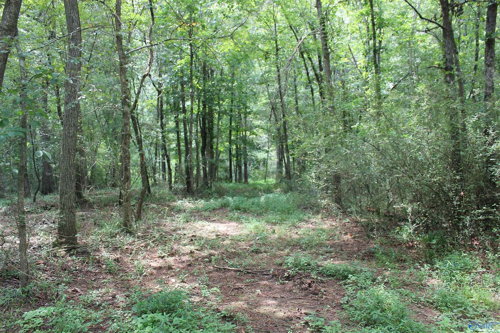 14.3 Acres of Land for Sale in Sylvania, Alabama