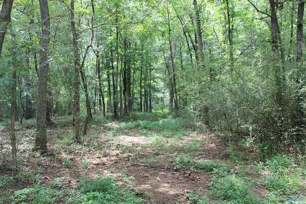 14.3 Acres of Land for Sale in Sylvania, Alabama