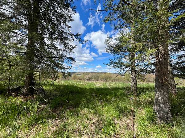 56 Acres of Recreational & Residential Land for Sale in Russell, New York