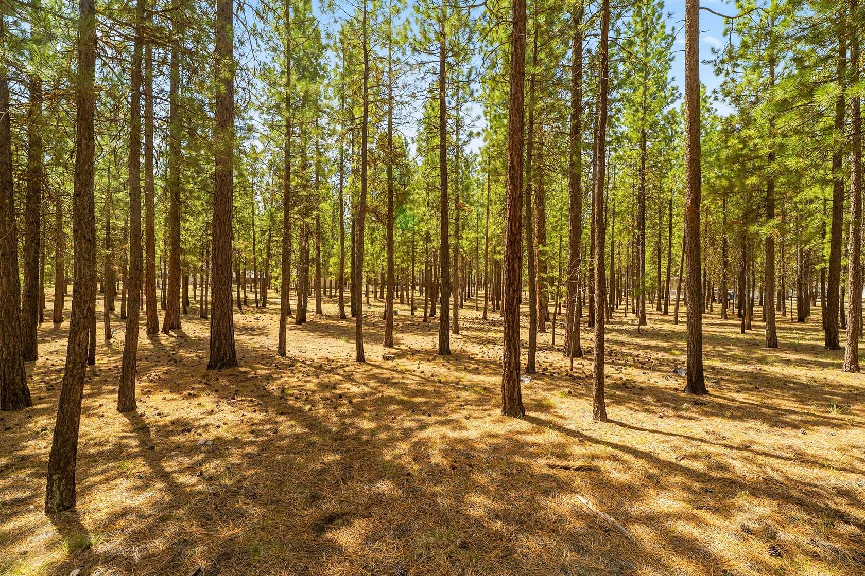 1.7 Acres of Residential Land for Sale in La Pine, Oregon
