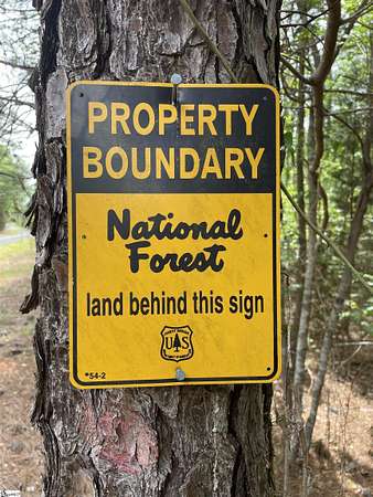 99.6 Acres of Recreational Land for Sale in McCormick, South Carolina