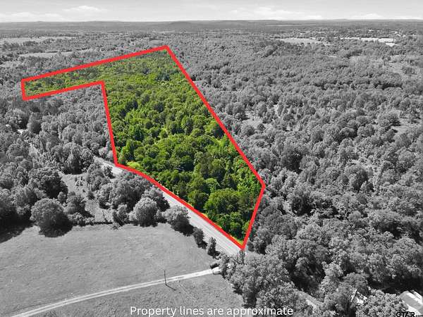 45 Acres of Recreational Land for Sale in Pittsburg, Texas