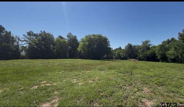 29 Acres of Land with Home for Sale in Jacksonville, Texas