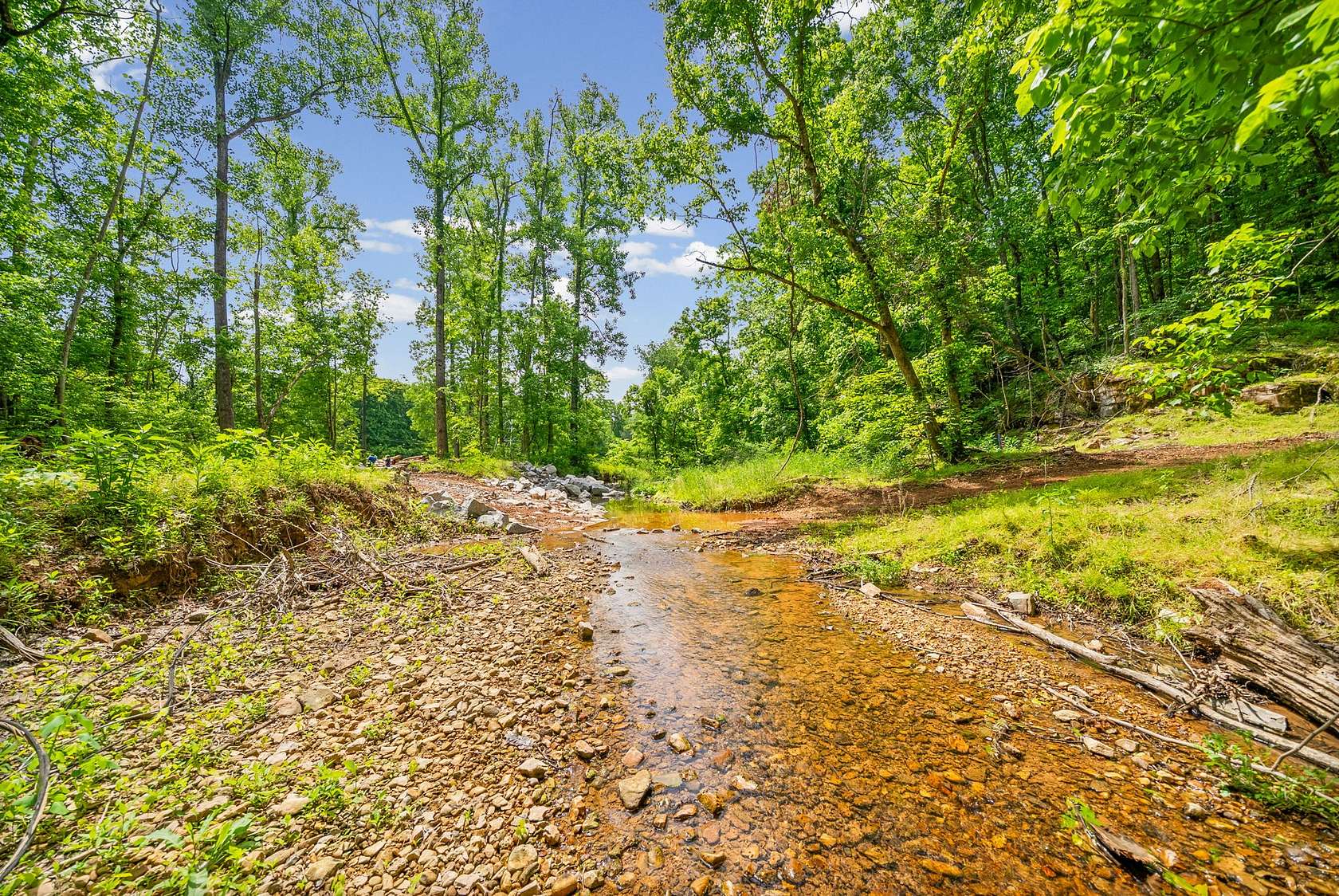 12.6 Acres of Land for Sale in Palmyra, Tennessee