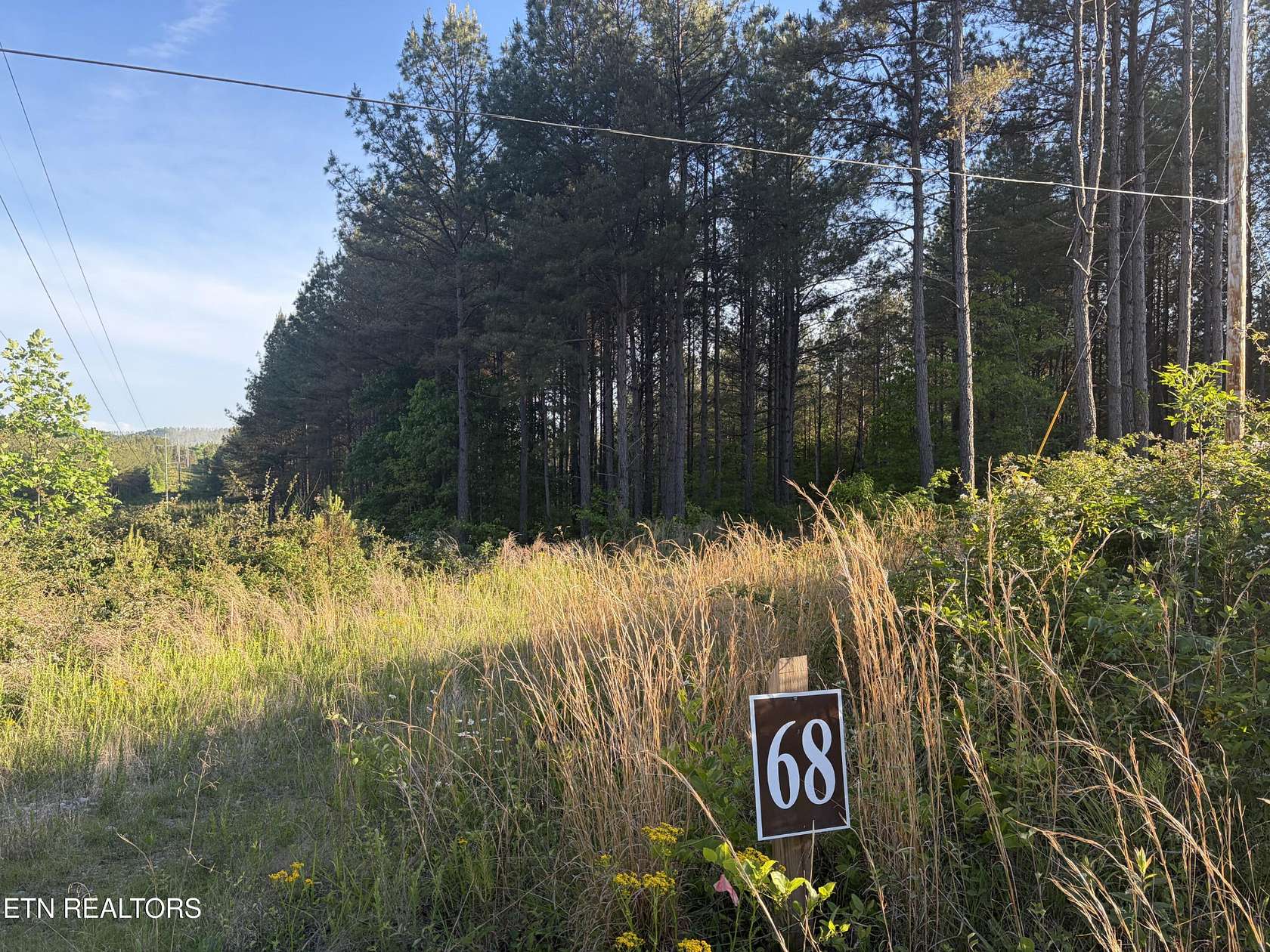 22.5 Acres of Land for Sale in Sunbright, Tennessee