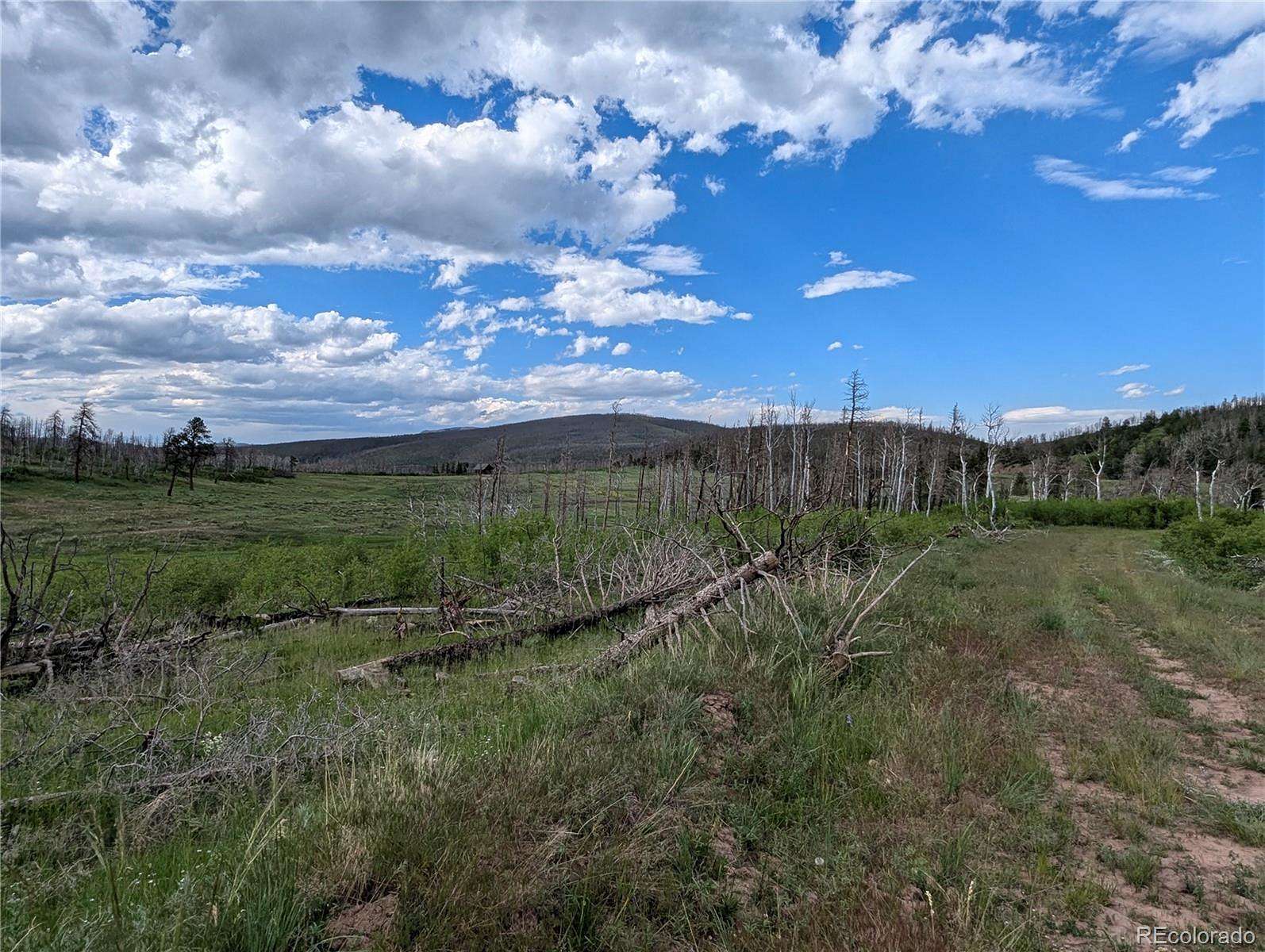 1.59 Acres of Residential Land for Sale in Fort Garland, Colorado