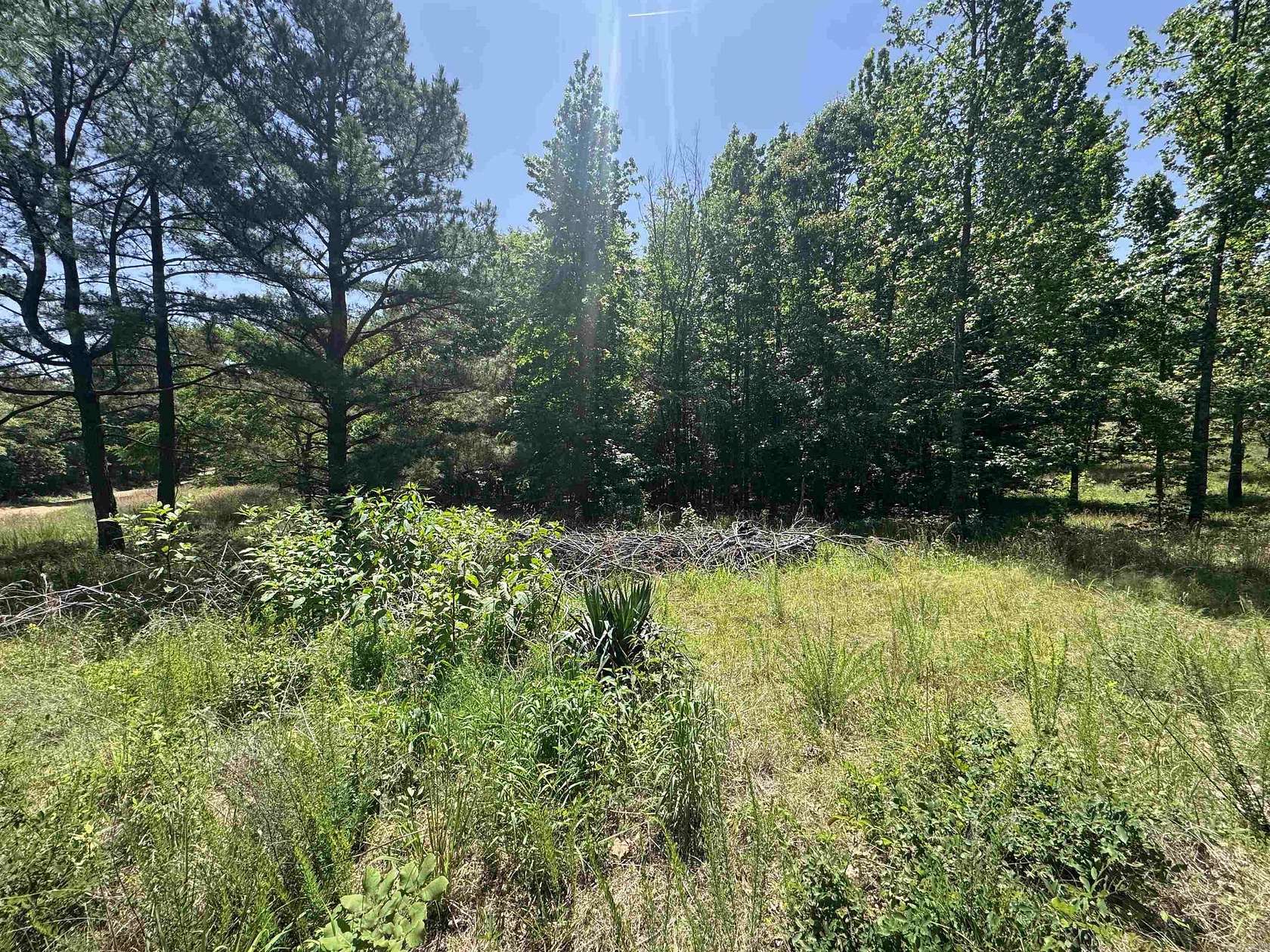 10 Acres of Recreational Land for Sale in Piggott, Arkansas