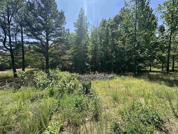 10 Acres of Recreational Land for Sale in Piggott, Arkansas