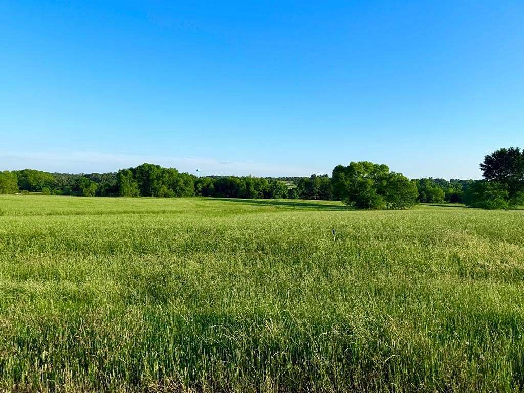 5 Acres of Residential Land for Sale in Athens, Texas