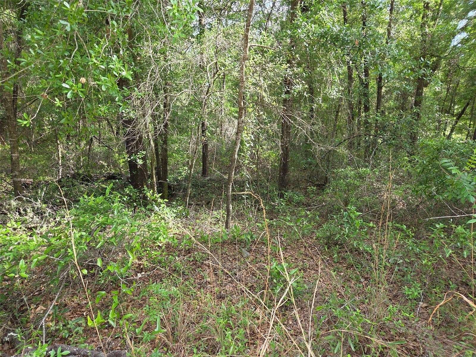 1.25 Acres of Residential Land for Sale in Bronson, Florida