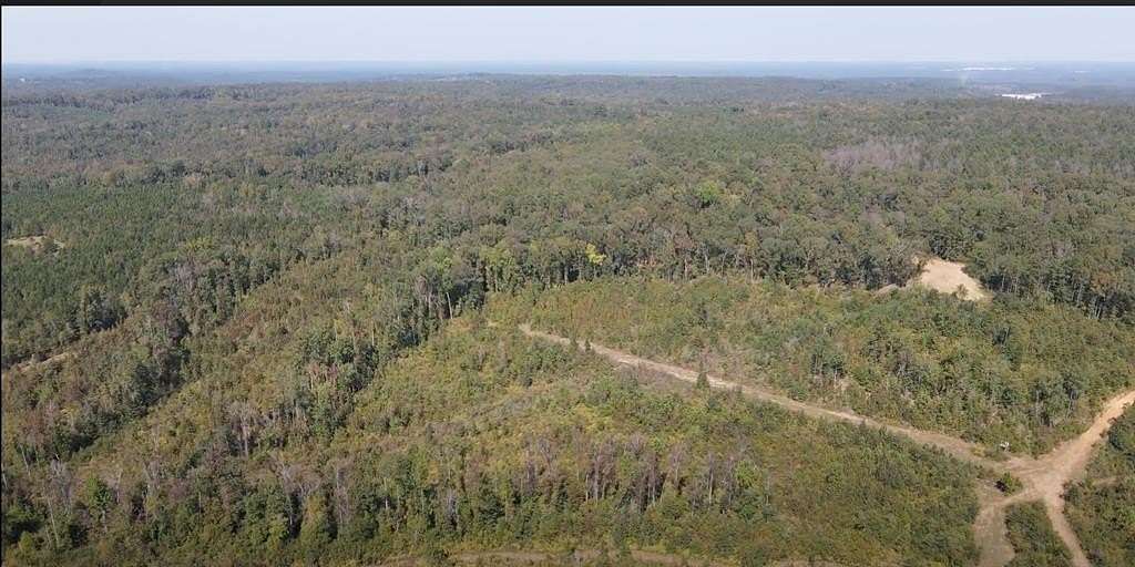 176 Acres of Recreational Land for Sale in Toomsboro, Georgia