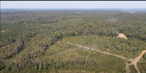 176 Acres of Recreational Land for Sale in Toomsboro, Georgia