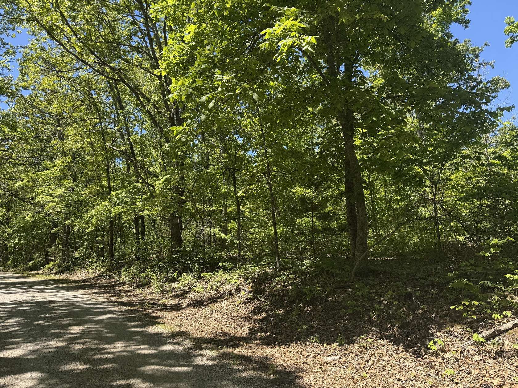 41.7 Acres of Recreational & Residential Land for Sale in Ava, Missouri