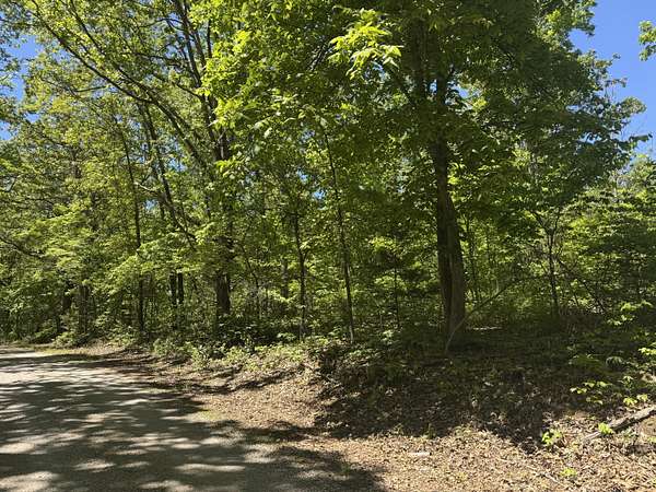 41.7 Acres of Recreational & Residential Land for Sale in Ava, Missouri