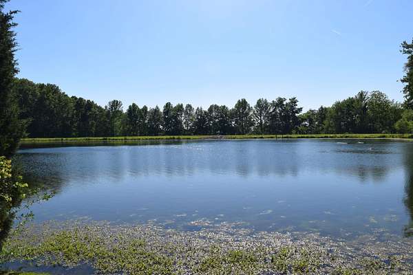 3.67 Acres of Residential Land for Sale in Wadesville, Indiana