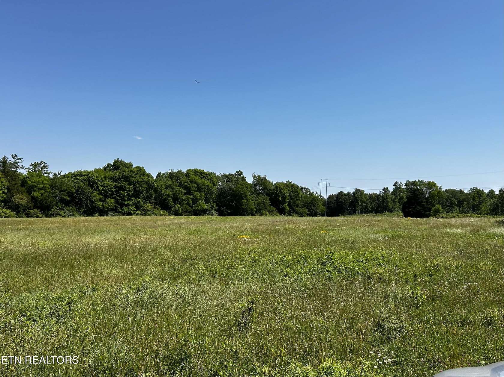 49.7 Acres of Commercial Land for Sale in Madisonville, Tennessee