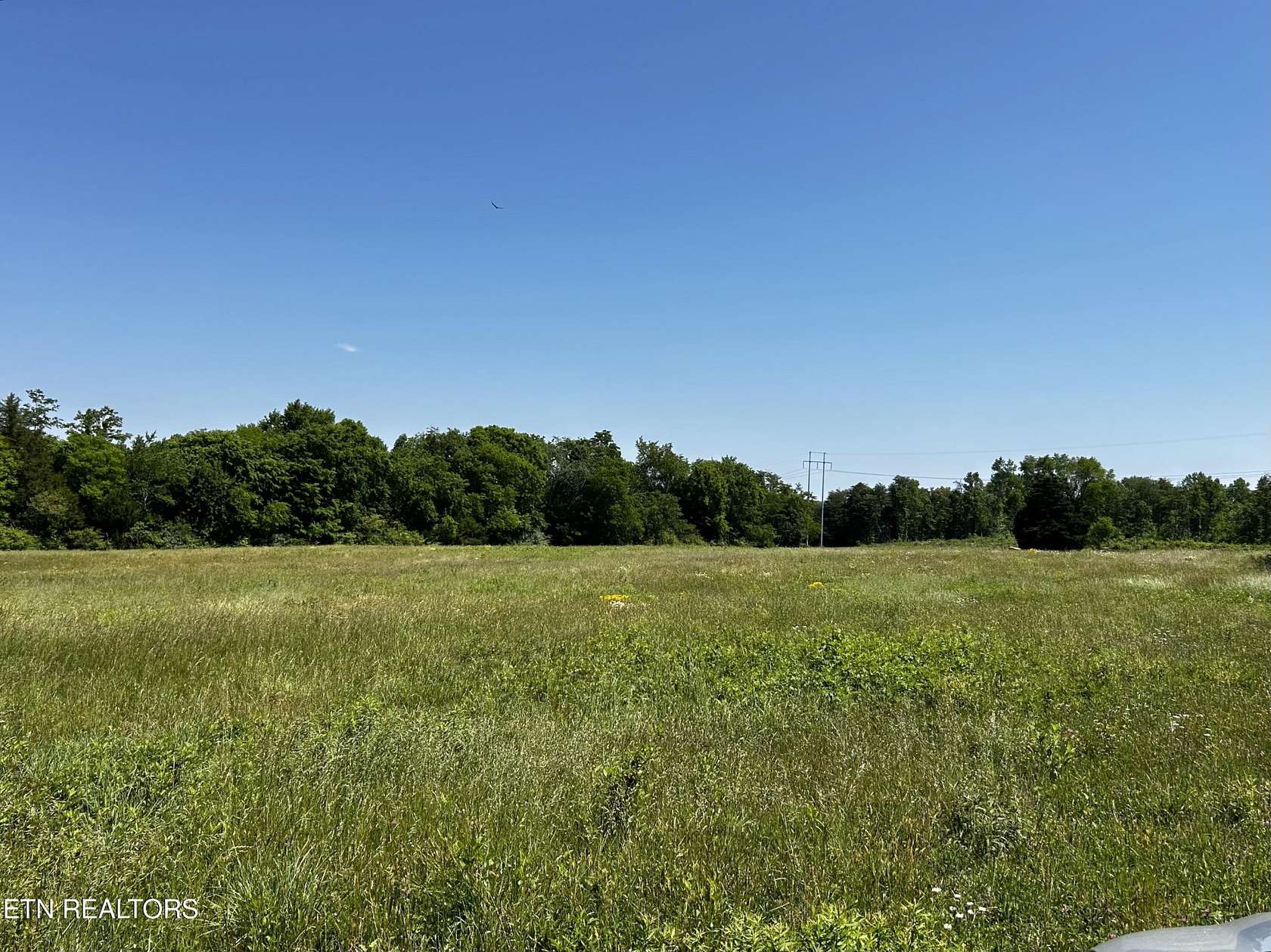 49.7 Acres of Land for Sale in Madisonville, Tennessee