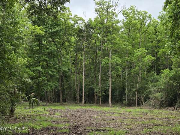 2 Acres of Residential Land for Lease in Beaufort, South Carolina