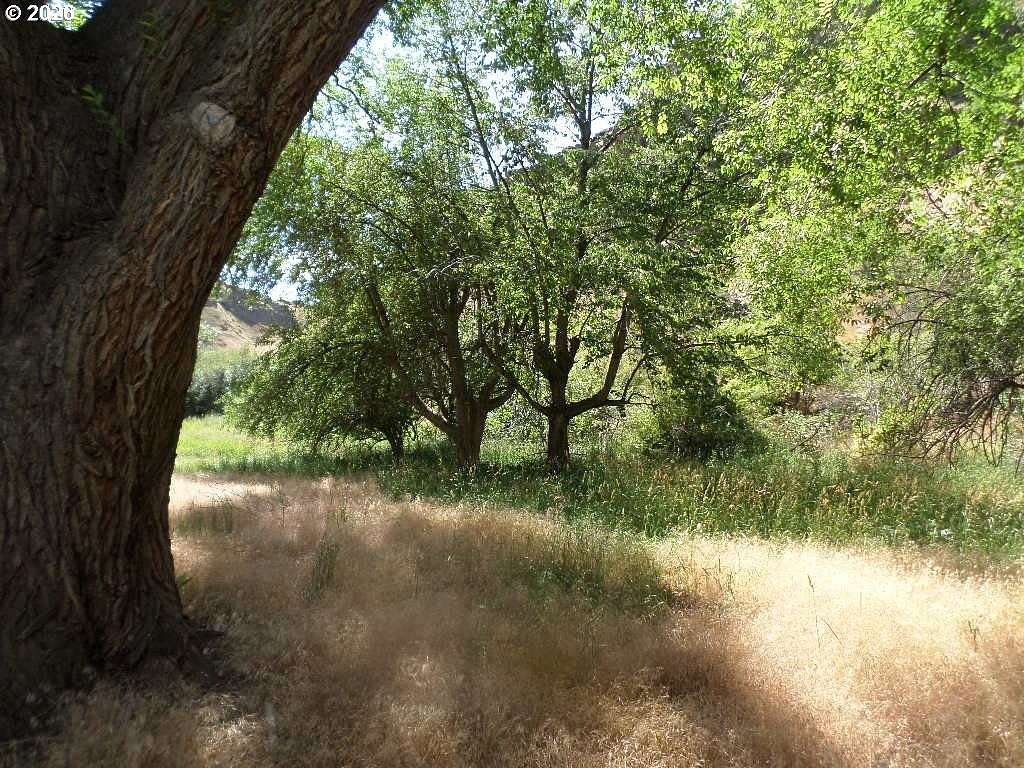 18 Acres of Recreational Land for Sale in Joseph, Oregon