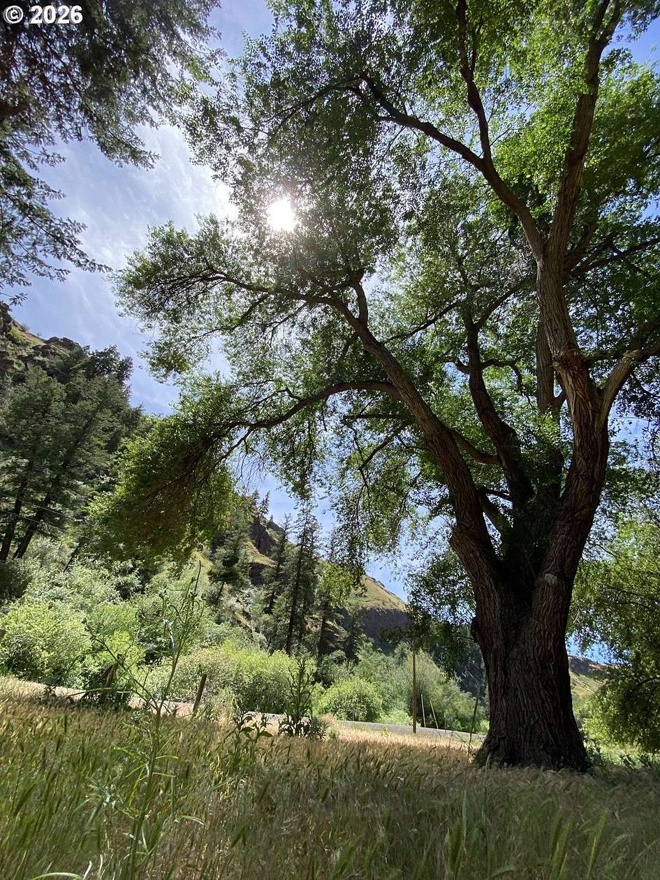 18 Acres of Recreational Land for Sale in Joseph, Oregon