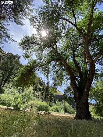18 Acres of Recreational Land for Sale in Joseph, Oregon