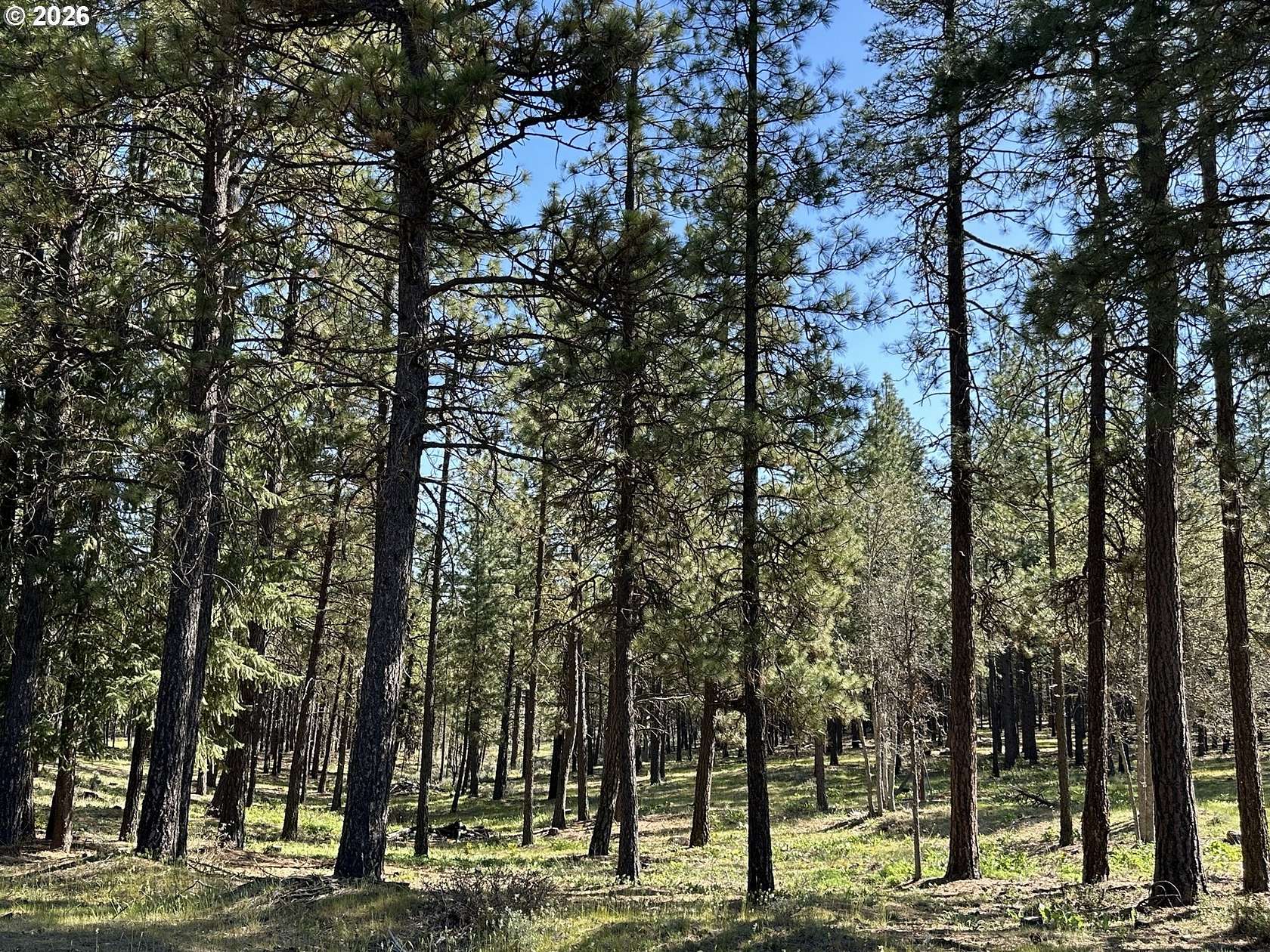 5 Acres of Residential Land for Sale in Goldendale, Washington