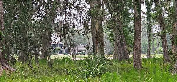 0.29 Acres of Residential Land for Sale in Waverly, Georgia