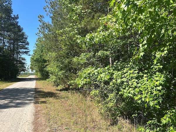 4.16 Acres of Land for Sale in Bowdon, Georgia