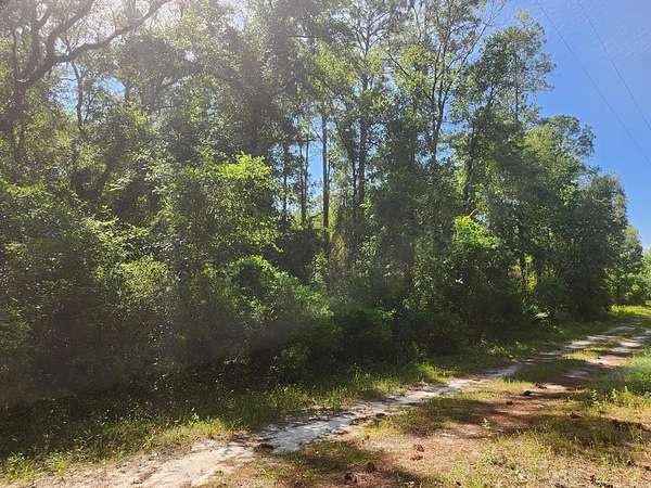 0.62 Acres of Land for Sale in Jasper, Florida