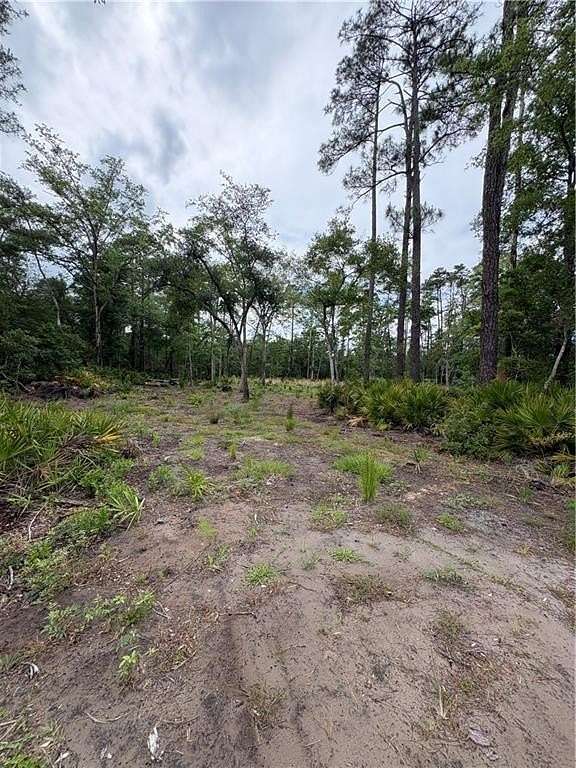 1 Acre of Residential Land for Sale in Waverly, Georgia