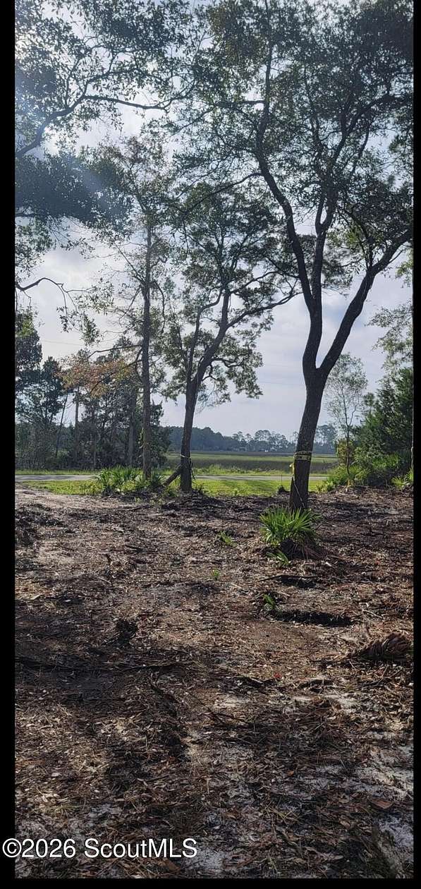 1 Acre of Residential Land for Sale in Waverly, Georgia