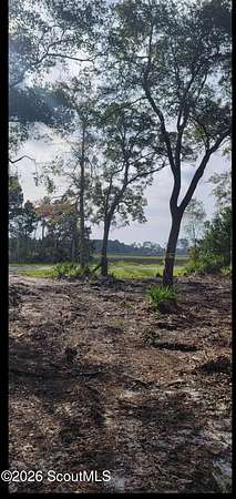 1 Acre of Residential Land for Sale in Waverly, Georgia