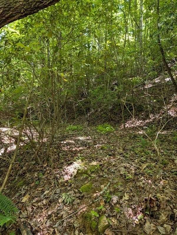 0.79 Acres of Residential Land for Sale in Murphy, North Carolina