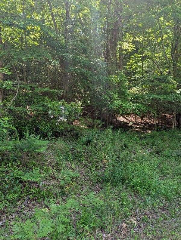 0.79 Acres of Residential Land for Sale in Murphy, North Carolina
