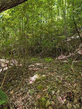 0.79 Acres of Residential Land for Sale in Murphy, North Carolina