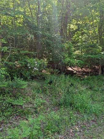 0.79 Acres of Residential Land for Sale in Murphy, North Carolina