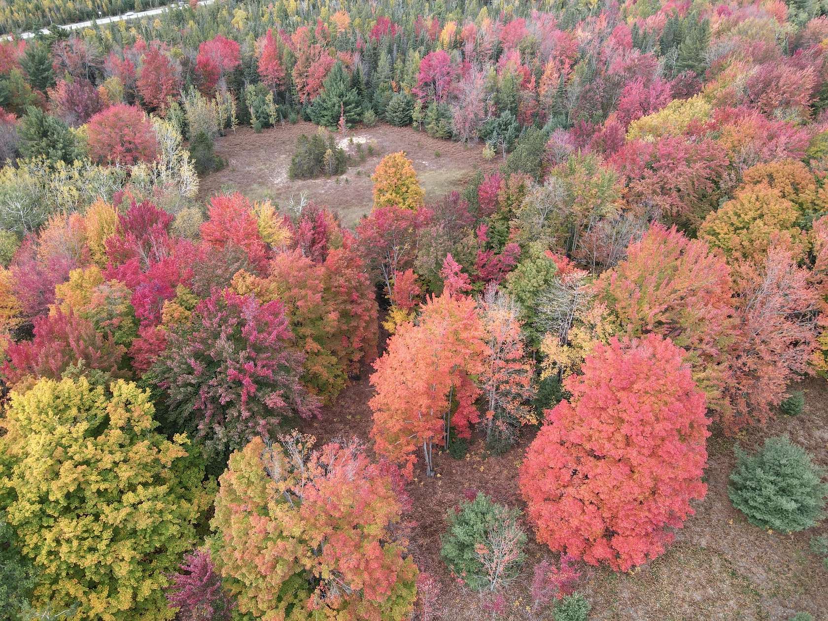 94.4 Acres of Recreational & Residential Land for Sale in Kalkaska, Michigan