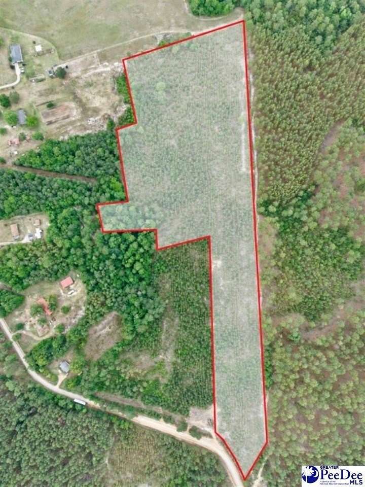 17.1 Acres of Recreational & Residential Land for Sale in Patrick, South Carolina